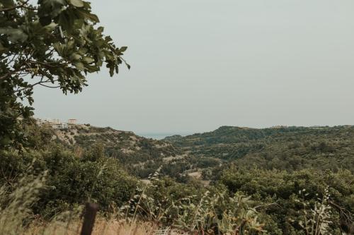 a view from the top of a hill with trees at Maya pool & mountain view villa in Koskinou