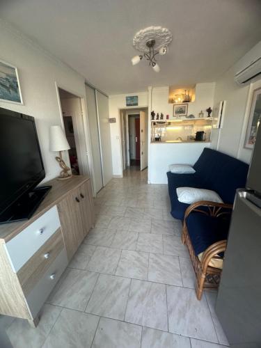 un salon avec un canapé et une télévision dans l'établissement Superbe 2 pièces climatisé avec piscines, à Gruissan