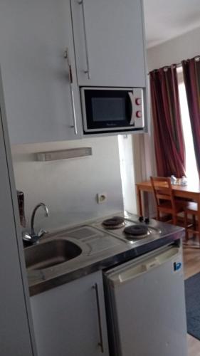 une petite cuisine avec un évier et un micro-ondes dans l'établissement Hyper centre Strasbourg, à Strasbourg