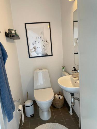 a bathroom with a toilet and a sink at Velindrettet rækkehus med fantastisk udsigt in Næstved