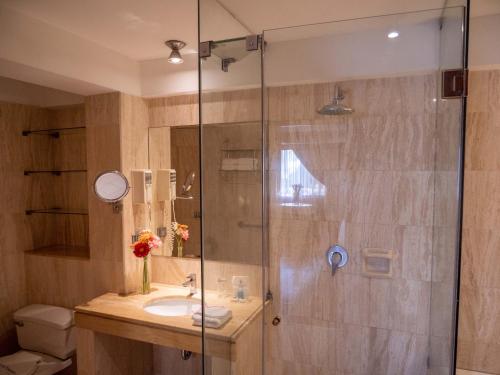 a bathroom with a shower and a sink at Hotel Britania San Borja in Lima