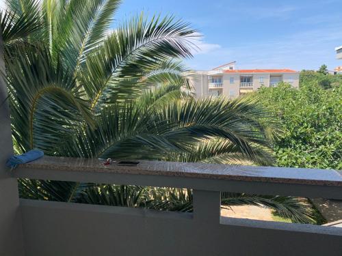 Apartments Filla Novalja