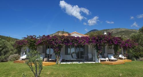 a house with a pergola filled with purple flowers at Olivemare in Katelios