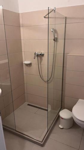 Gallery image of Manuela Ifjúsági Hotel in Balatonfüred