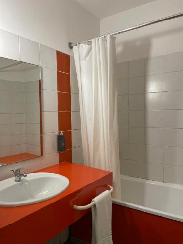 a bathroom with a white sink and a shower at Théâtre Hôtel Chambéry in Chambéry