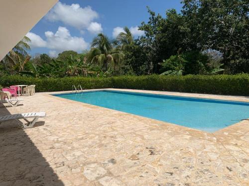 - une piscine d'eau bleue avec des chaises et des arbres dans l'établissement VILLA GUAVABERRY n, à Paraíso