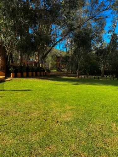 a field of green grass with trees in the background at Clavellino House en Villa de Leyva - Tranquilidad y Naturaleza en Reserva Natural Urbana! in Villa de Leyva