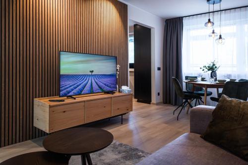 Televiisor ja/või meelelahutuskeskus majutusasutuses Trendy apartment in Haapsalu center