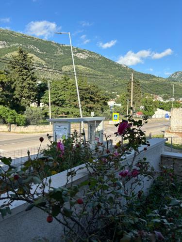 Gallery image of Villa Mia apartments in Sutomore