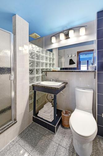 a bathroom with a toilet and a sink and a mirror at Chelsea Pines Inn in New York