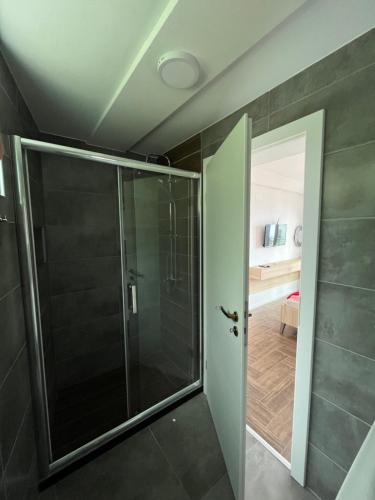 a bathroom with a shower with a glass door at Vila Vista Magica Radozda in Struga