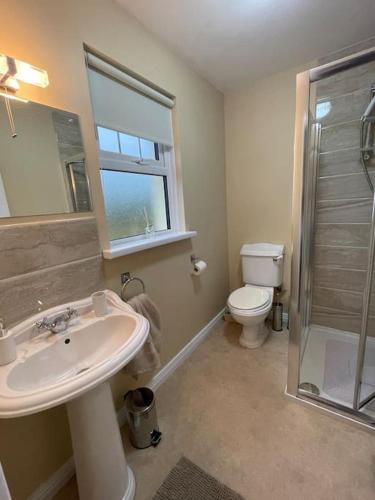 a bathroom with a sink and a toilet and a shower at Hazelwood House in Letterkenny