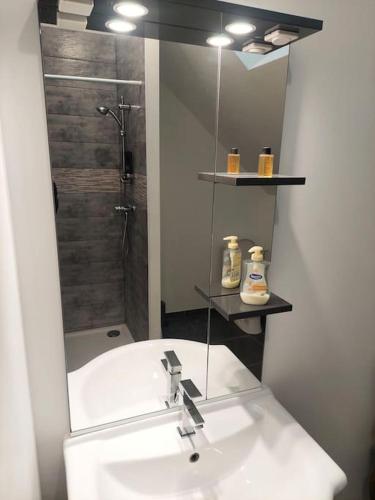 une salle de bain avec un lavabo et une douche avec un miroir dans l'établissement Maison calme proche de la cité des loisirs, à Amnéville