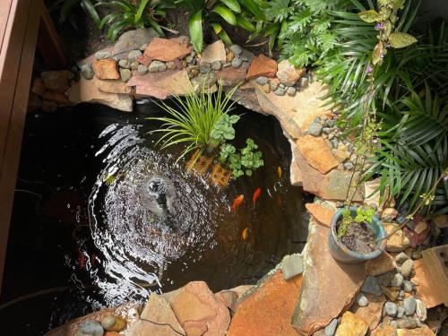 Imagen de la galería de Beautiful river view guesthouse, en Maclean