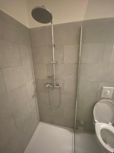 a shower in a bathroom with a toilet at Garsoniéra Ostrava City centr, Na Hradbách 118 in Ostrava