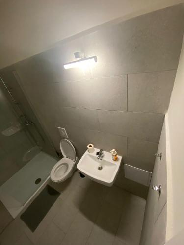 a small bathroom with a toilet and a sink at Garsoniéra Ostrava City centr, Na Hradbách 118 in Ostrava