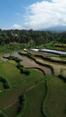 an aerial view of a river with a train on it at Ariel Bungalow Tetebatu in Tetebatu