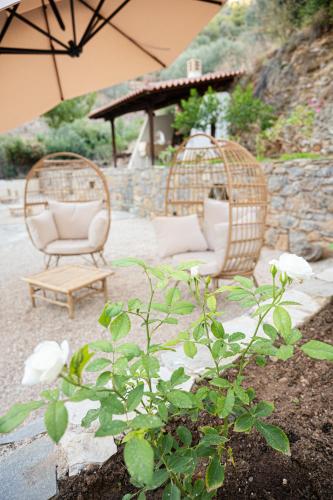 a patio with two wicker chairs and an umbrella at The White Rose Hotel in Poros