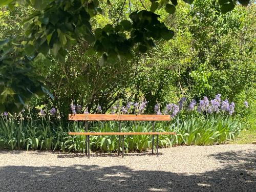 a wooden bench in front of a garden with purple flowers at Gite Harmonie in Gréoux-les-Bains
