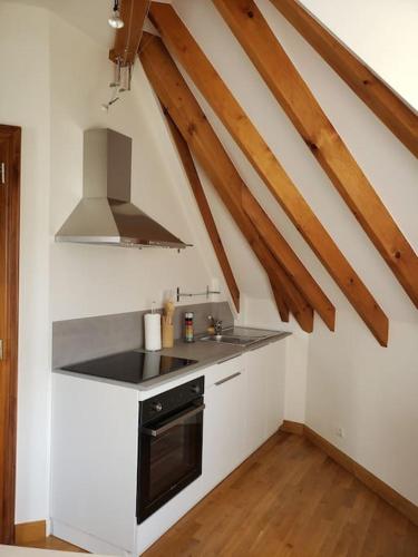 une cuisine avec un évier et une cuisinière dans l'établissement Au gré du tulipier - 2 pièces, à Monswiller