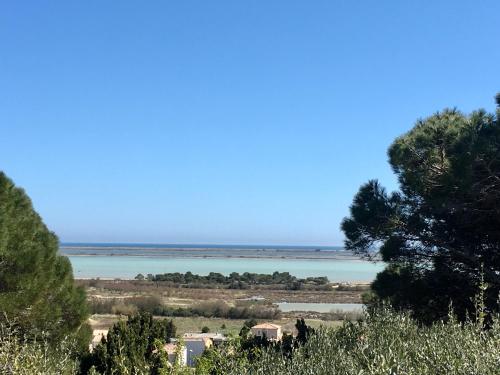 a view of the ocean from a hill with trees at La Poussada, maisons écologiques avec vue mer in Lapalme
