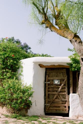 a small building with a wooden door next to a tree at Can Quince Balafia Ibiza Hotel - Turismo de Interior in Sant Llorenç de Balafia