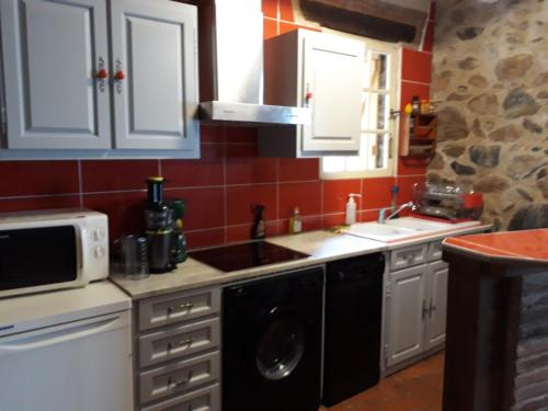 une cuisine avec un évier et une machine à laver dans l'établissement LA Boulzane, à Puilaurens