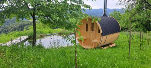 a wooden house in the grass next to a pond at Holiday Home Sonnenhaus in Svečina