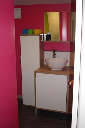une salle de bain avec un lavabo et un miroir dans l'établissement Gite Chez Rosalie, à Grazac