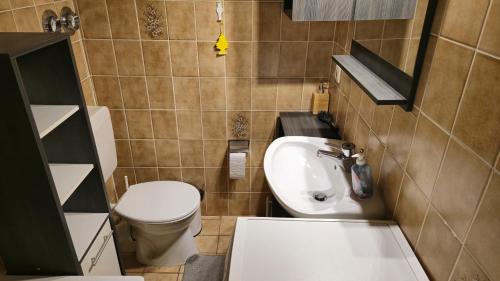 a small bathroom with a toilet and a sink at sunny City Apartment in Villingen-Schwenningen