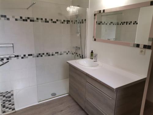 une salle de bain avec un lavabo et une douche dans l'établissement Maison en pierres, à Fontanès