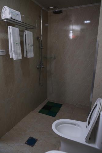 a bathroom with a shower and a toilet and towels at Trinity Hotel in Addis Ababa