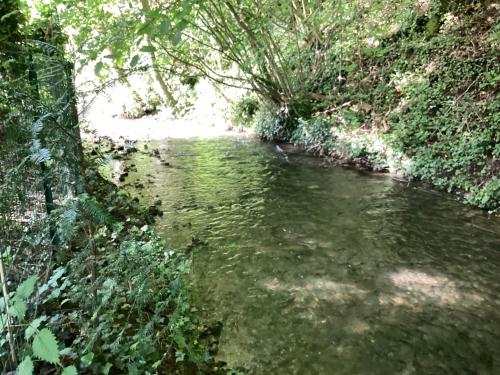 a stream of water with trees and a path at Maison campagne rivière forêt in Le Brévedent