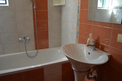 a bathroom with a sink and a shower and a tub at Apartment Garden View Makarska in Makarska