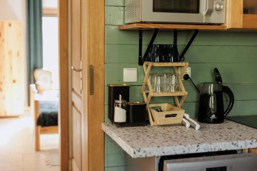 a kitchen with a counter top with a microwave at Jesteśmy Na Ty - Apartamenty in Lewin Kłodzki