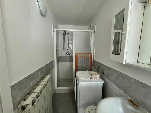 クレモナにあるAppartamenti I Liutaiのバスルーム(シャワー、トイレ、シンク付)