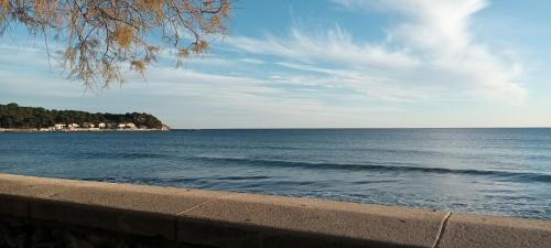 een uitzicht op een waterlichaam met een boom bij VILLA Le MARVIVO in La Seyne-sur-Mer