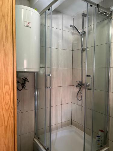 uma casa de banho com um chuveiro e uma cabina de duche em vidro. em Hisa Suzana em Črnomelj