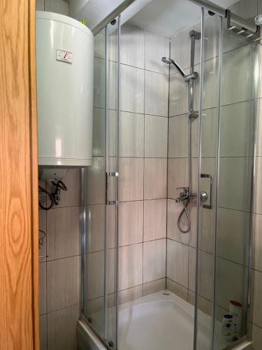a bathroom with a shower with a glass shower stall at Hisa Suzana in Črnomelj