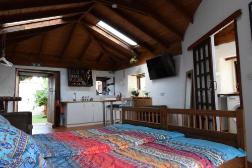 1 dormitorio con 1 cama grande y cocina en Finca Casa Madera 1, en Icod de los Vinos