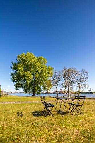 a picnic table and bench in a field with a tree at Smiltynės Jachtklubas in Klaipėda