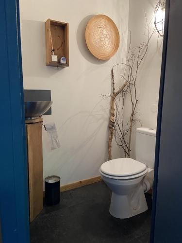 une salle de bain avec toilettes et lavabo dans l'établissement GITE Voie Verte , jardin, CV LOUHANS, à Louhans