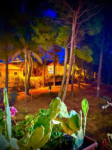 a view of a garden at night at Linden House Etna in Aci SantʼAntonio