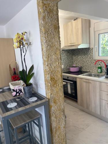 a kitchen with a counter and a table in it at Flowers Lullaby Loft in Afantou