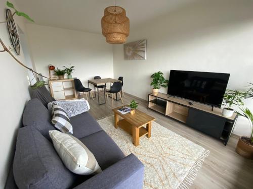 Una sala de estar con un sofá azul y un televisor. en T2 centre ville avec vue imprenable, en Chambéry
