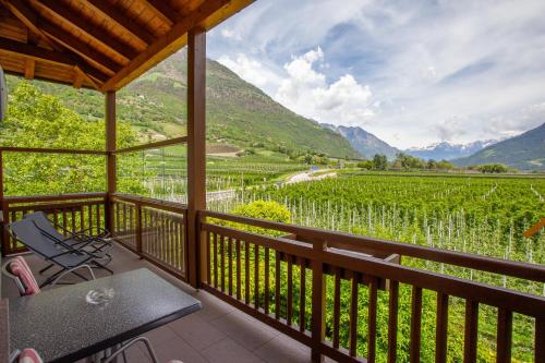 a balcony with a view of a vineyard and mountains at Hof Schupfer - Alpstay in Naturno
