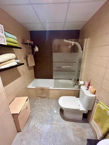 a bathroom with a white toilet and a bath tub at Lo Gambussi Deltebre in Deltebre