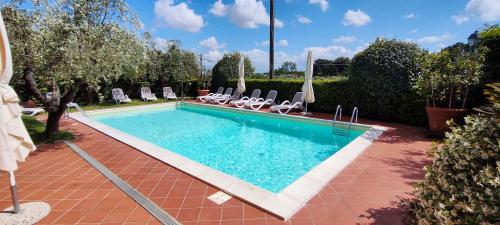 a swimming pool with lounge chairs next to a yard at Le Quattro Stagioni in Massa