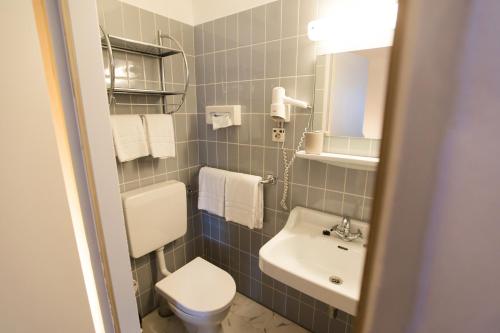 a small bathroom with a toilet and a sink at RATSKELLER Hotel & Restaurant in Kröv