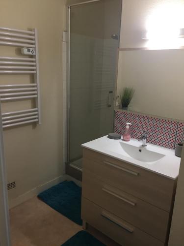 une salle de bain avec un lavabo et une douche dans l'établissement Le Vendée Globe sous votre balcon, à La Chaume